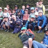 Waldspuren 2