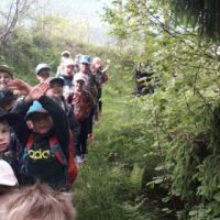 Waldspuren 3