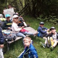 Waldspuren 4