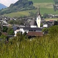 Wiese 3