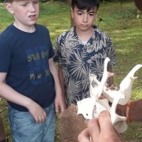 Tierkunde 6