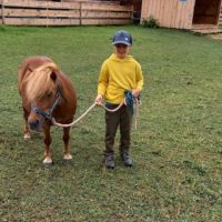 Markus Pony Bibi