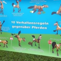 Verhaltensregeln 1